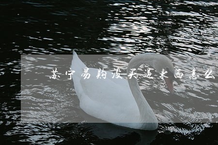 苏宁易购没买过东西怎么会有逾期 苏宁易购没买过东西怎么会有逾期