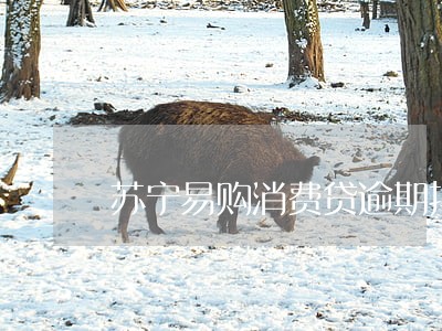苏宁易购消费贷逾期报案 苏宁易购消费贷逾期报案