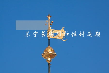 苏宁易购用任性付逾期 苏宁易购用任性付逾期
