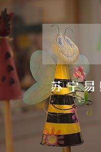 苏宁易购省薪贷逾期处理方案 苏宁易购省薪贷逾期处理方案