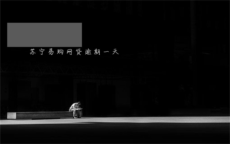 苏宁易购网贷逾期一天 苏宁易购网贷逾期一天
