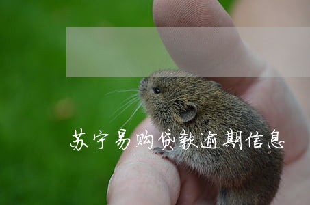 苏宁易购贷款逾期信息 苏宁易购贷款逾期信息