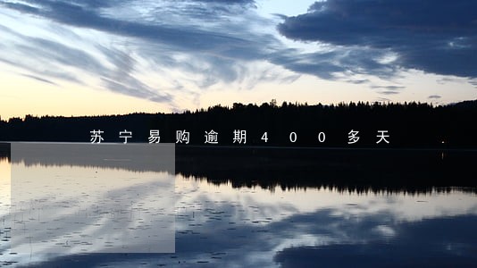 苏宁易购逾期400多天 苏宁易购逾期400多天