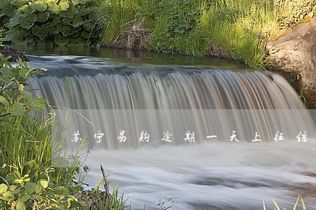 苏宁易购逾期一天上征信吗 苏宁易购逾期一天上征信吗