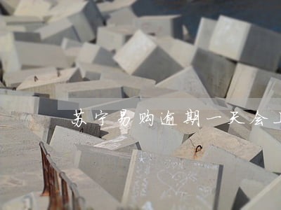 苏宁易购逾期一天会上征信吗 苏宁易购逾期一天会上征信吗