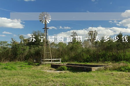苏宁易购逾期一天多少钱 苏宁易购逾期一天多少钱