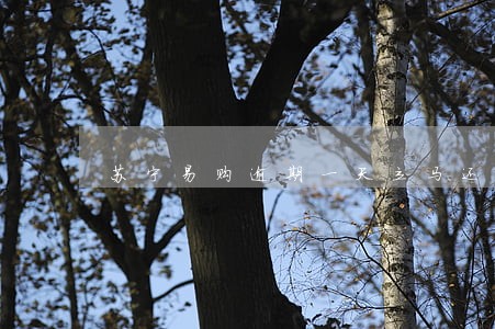 苏宁易购逾期一天立马还了 苏宁易购逾期一天立马还了