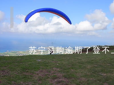苏宁易购逾期了登不上怎么还 苏宁易购逾期了登不上怎么还
