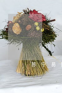 苏宁易购逾期了还清后还能借吗 苏宁易购逾期了还清后还能借吗
