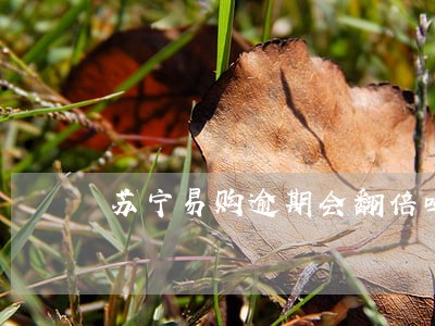 苏宁易购逾期会翻倍吗 苏宁易购逾期会翻倍吗