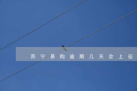 苏宁易购逾期几天会上征信吗 苏宁易购逾期几天会上征信吗