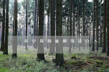 苏宁易购逾期司法介入 苏宁易购逾期司法介入