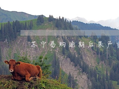 苏宁易购逾期后果严重吗