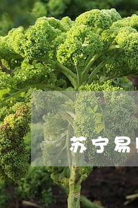 苏宁易购逾期多久 苏宁易购逾期多久