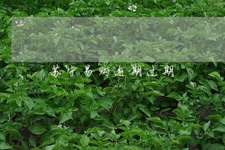 苏宁易购逾期过期 苏宁易购逾期过期