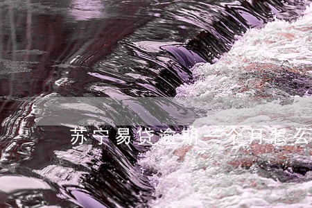 苏宁易贷逾期一个月怎么办