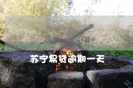 苏宁易贷逾期一天 苏宁易贷逾期一天