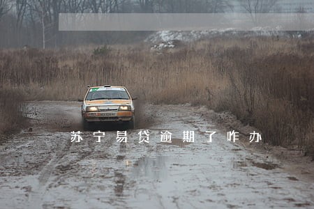 苏宁易贷逾期了咋办 苏宁易贷逾期了咋办