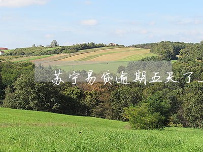 苏宁易贷逾期五天了上征信吗