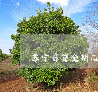 苏宁易贷逾期几天会打联系人电话 苏宁易贷逾期几天会打联系人电话