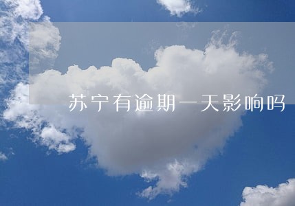 苏宁有逾期一天影响吗 苏宁有逾期一天影响吗