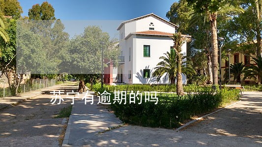 苏宁有逾期的吗 苏宁有逾期的吗