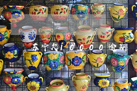 苏宁欠10000逾期 苏宁欠10000逾期