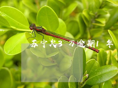 苏宁欠3万逾期1年 苏宁欠3万逾期1年