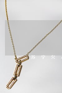 苏宁欠八百逾期十天怎么办 苏宁欠八百逾期十天怎么办