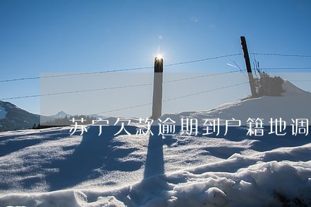 苏宁欠款逾期到户籍地调查 苏宁欠款逾期到户籍地调查