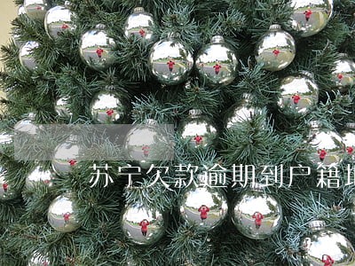 苏宁欠款逾期到户籍地调查需要 苏宁欠款逾期到户籍地调查需要