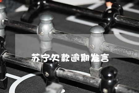 苏宁欠款逾期发言 苏宁欠款逾期发言