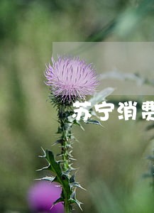 苏宁消费贷逾期 苏宁消费贷逾期