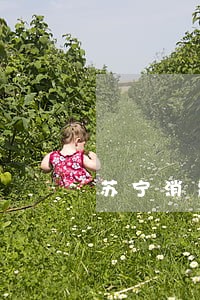 苏宁消费贷逾期利息 苏宁消费贷逾期利息