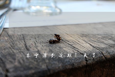 苏宁消费逾期7天了 苏宁消费逾期7天了
