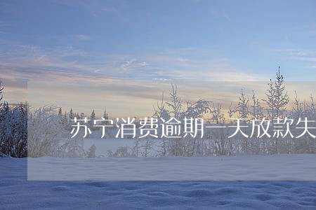 苏宁消费逾期一天放款失败 苏宁消费逾期一天放款失败