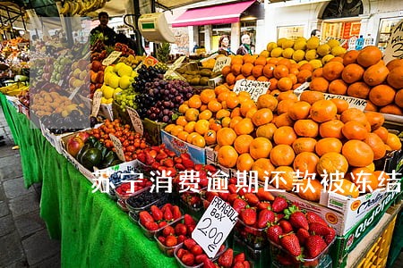 苏宁消费逾期还款被冻结 苏宁消费逾期还款被冻结