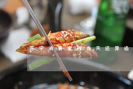 苏宁消费金融当天还算逾期吗 苏宁消费金融当天还算逾期吗
