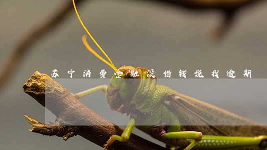 苏宁消费金融没借钱说我逾期 苏宁消费金融没借钱说我逾期