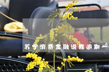 苏宁消费金融说我逾期一天 苏宁消费金融说我逾期一天