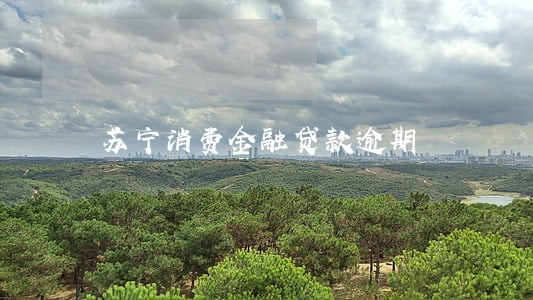 苏宁消费金融贷款逾期 苏宁消费金融贷款逾期