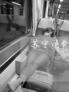 苏宁消费金融贷款逾期几天 苏宁消费金融贷款逾期几天