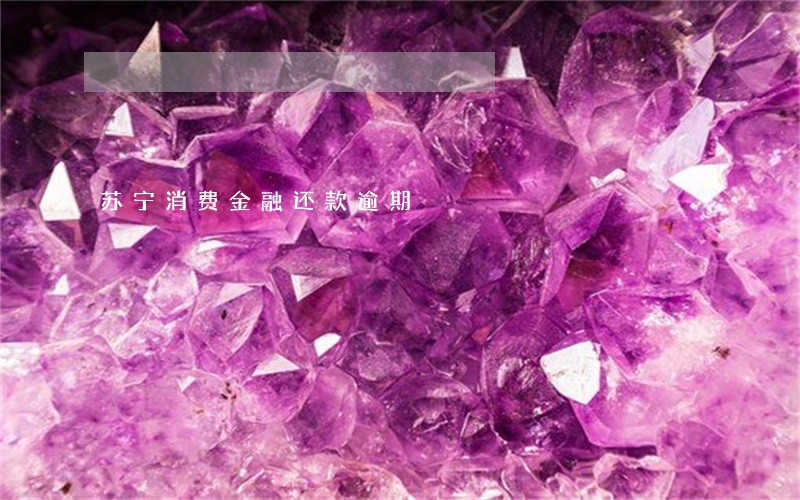 苏宁消费金融还款逾期 苏宁消费金融还款逾期
