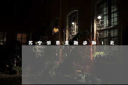 苏宁消费金融逾期1天