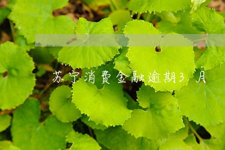 苏宁消费金融逾期3月 苏宁消费金融逾期3月