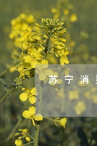 苏宁消费金融逾期5年会怎样 苏宁消费金融逾期5年会怎样