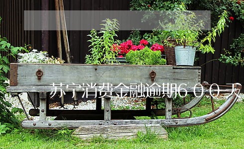 苏宁消费金融逾期600天 苏宁消费金融逾期600天