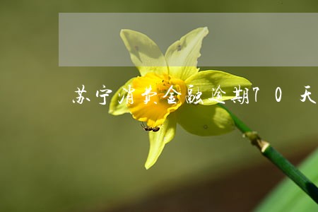苏宁消费金融逾期70天 苏宁消费金融逾期70天