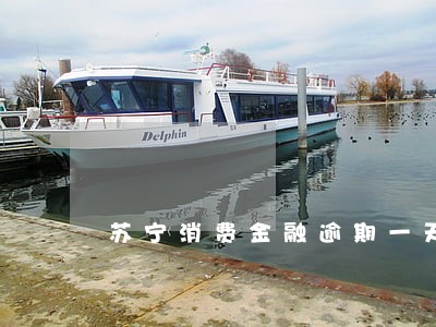 苏宁消费金融逾期一天 苏宁消费金融逾期一天