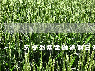 苏宁消费金融逾期三天 苏宁消费金融逾期三天